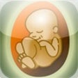 Icon of program: My Pregnancy Lite