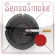Icon of program: SensoSmoke Lite
