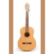 Icon of program: The Acoustic Guitar Tuner