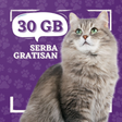 Icono de programa: Serba Gratisan : Promo Oj…