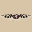 Icono de programa: Aardwolf MUD