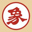 Icon of program: Xiangqi-wise