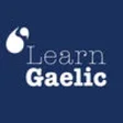 Icon of program: LearnGaelic Beginner's Co…