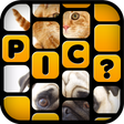 Icon of program: What's The Picture?