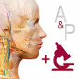 Icon of program: Anatomy & Physiology
