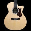 Icon of program: Play Acoustic Guitar