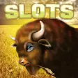 Icon of program: Buffalo Slots | Slot Mach…