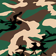 Icono de programa: Camo HD Live Wallpaper