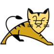 Icono de programa: Apache Tomcat (32 bit)