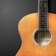 Icon of program: guitarism - pocket acoust…