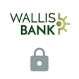 Icon of program: Wallis 360 Verify