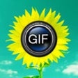Icon of program: Animated GIF Album free