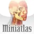 Icon of program: Miniatlas Anatomy