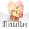 Icon of program: Miniatlas Anatomy
