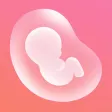Icon of program: Pregnancy Tracker