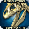 Icon of program: Body Disassembly 3D
