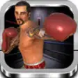 Icon of program: Boxing 3D Fight Game
