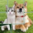 Icon of program: Jigsolitaire Puzzle Jigsa…