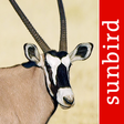 Icon of program: Mammal Guide of Southern …