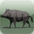 Icon of program: Wild Hog Sounds