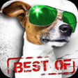 Icon of program: 75,000 SAYINGS & JOKES - …