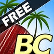 Icono de programa: Beach Cricket