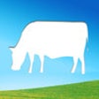 Icon of program: iHerd