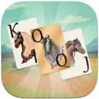 Icon of program: Solitaire Horse Game: Car…