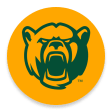 Icon of program: Baylor In-Game