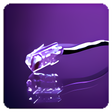 Icon of program: Show My IP