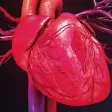 Icon of program: Cardiometabolismo