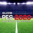 Icon of program: GUIDE PES 2020