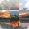 Icon of program: Pix It Up