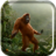 Icon of program: Wild Dance Crazy Monkey L…