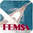 Icon of program: FEMSA 2011