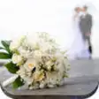 Icon of program: My Wedding Flowers
