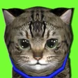 Hi Kitty! Your New Virtual Pet icon