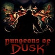 Icono de programa: Dungeons of Dusk