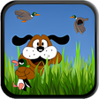 Icon of program: Duck Hunter Revolution