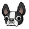 Icon of program: French Bulldog World, Dog…