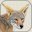 Icon of program: Canvas Art - Photo Filter