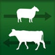Stock Move Express icon