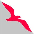 Icon of program: Air Arabia
