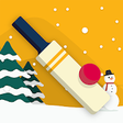 Icon of program: Pytch Cricket - Casual Sp…