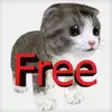 Icon of program: Talking friend kitten 3D …