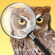 Icon of program: iBird Photo Sleuth