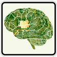 Icon of program: Artificial Intelligence
