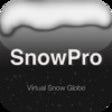 Icon of program: Snow Pro - virtual snow g…