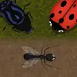 Icon of program: Ant Evolution : Tasty Bug…