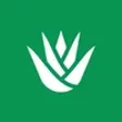 Icono de programa: Stepseed